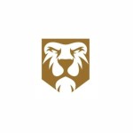 Dynamic Leo Information Technology