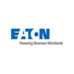Treasury Lead Analyst